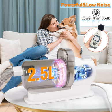 Hassle Free grooming at home